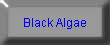  Black Algae 