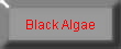 Black Algae 